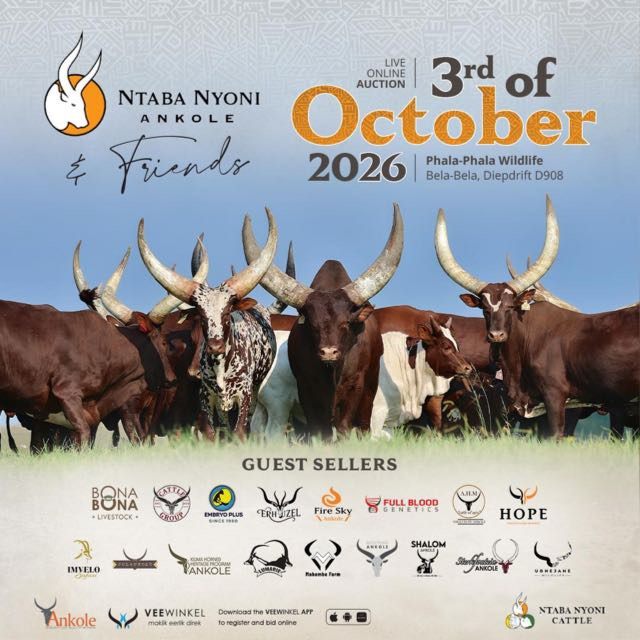 Ntaba Nyoni & Friends live online auction, 3 October 2026, Phala-Phala Wildlife, Bela-Bela
